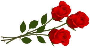 Large_Red_Roses_PNG_Clipart
